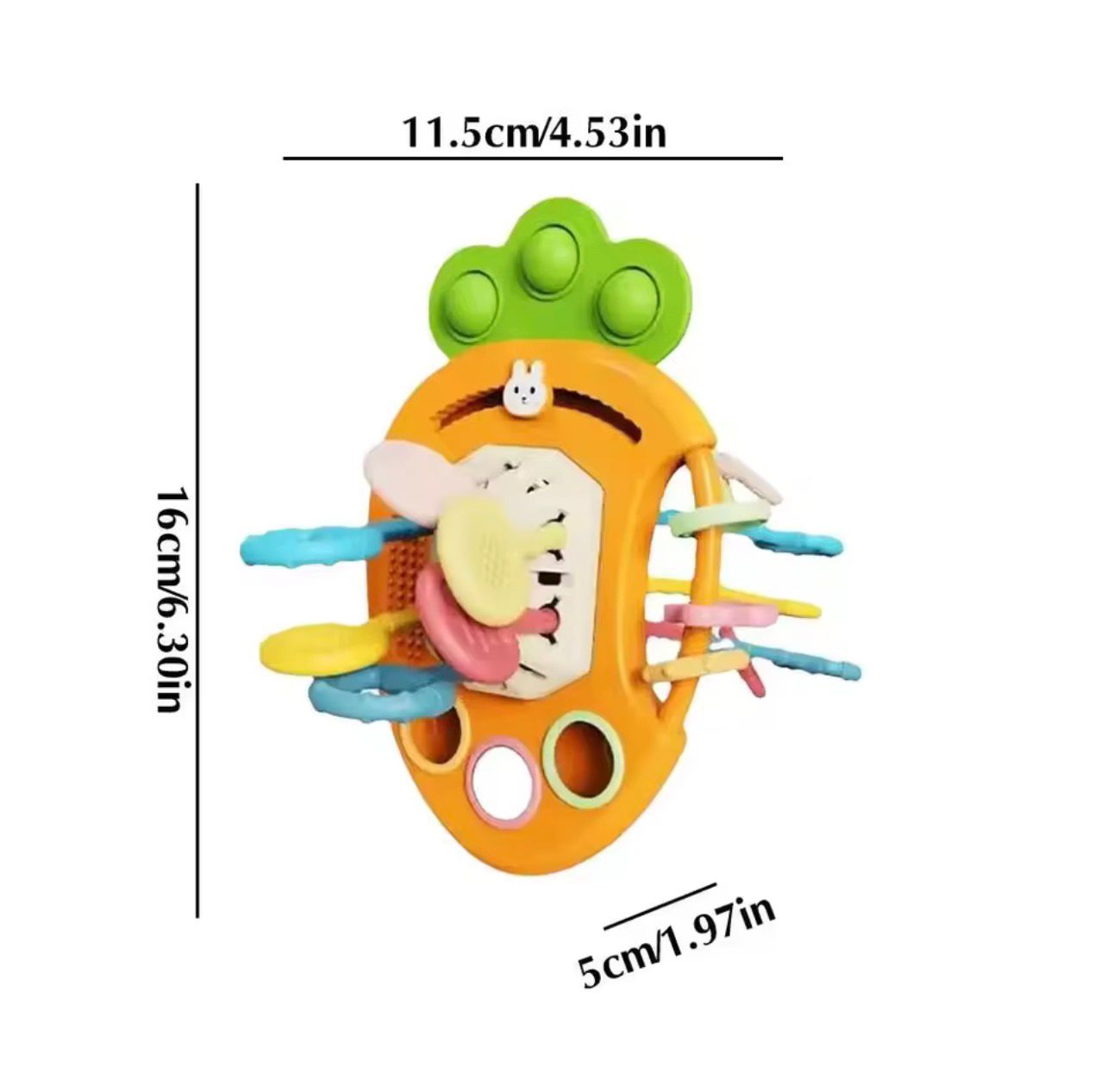 جزرة الاستكشاف الحسية 🥕🐰